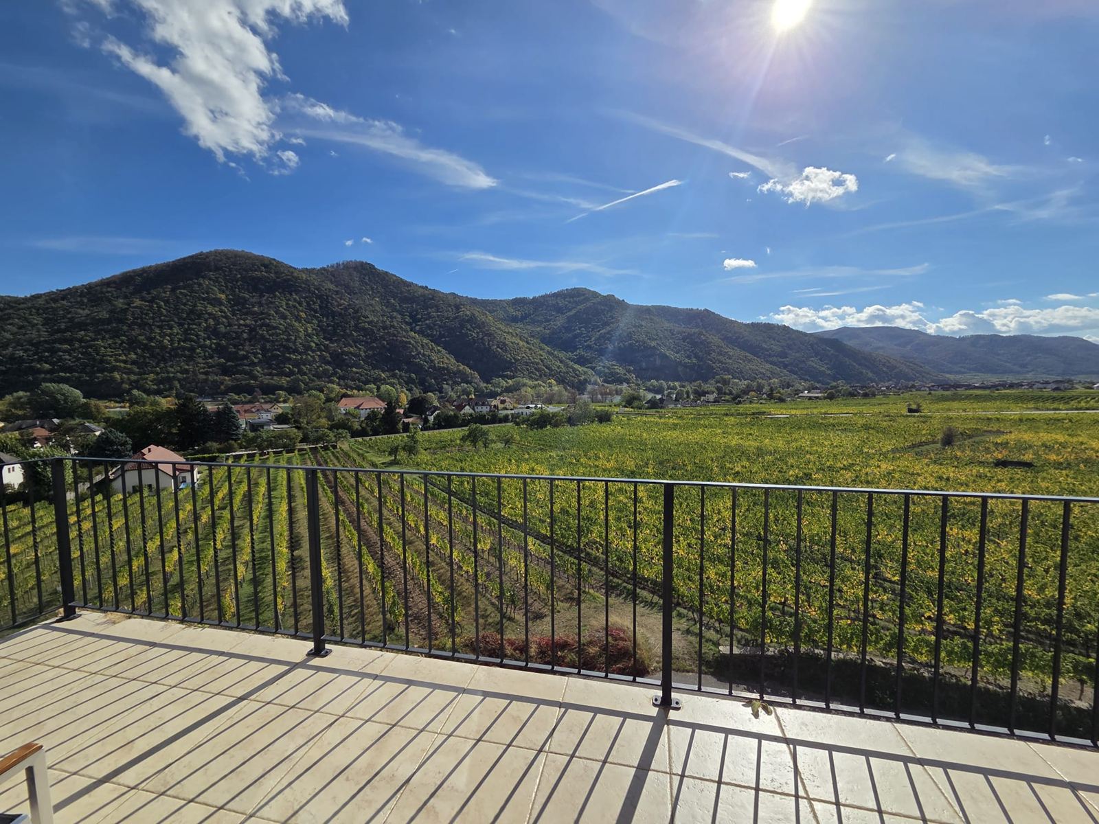 Terrasse mit Blick über die herbstlichen Weingärten von Weißenkirchen