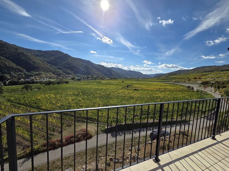 Weingärten und Berge der Wachau im Sonnenlicht
