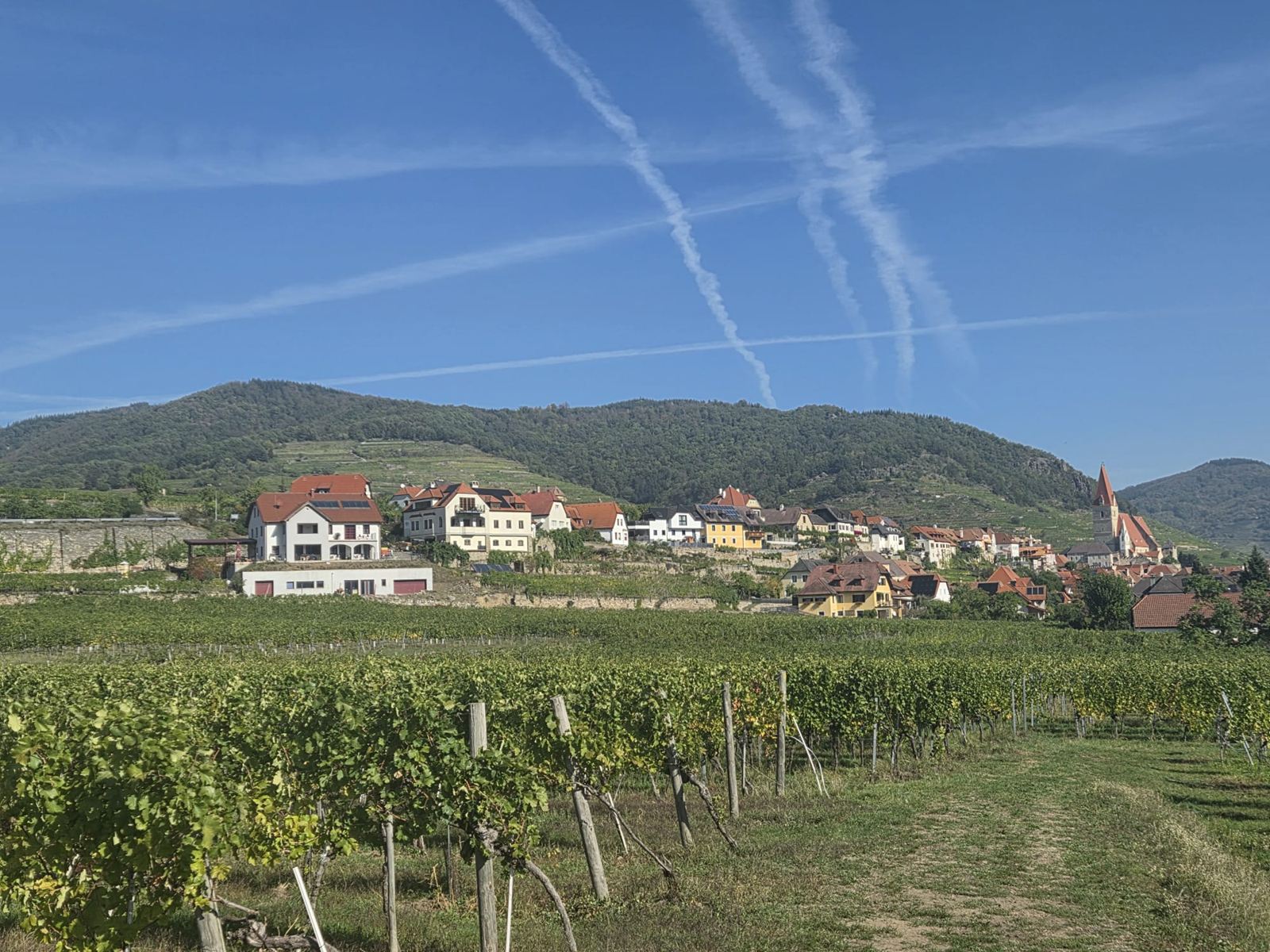 Weißenkirchen mit Pfarrkirche, Weinterrassen und Weingärten im Spätsommer